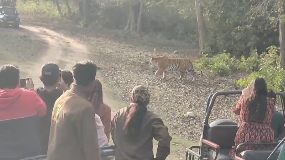 15 अक्टूबर को पर्यटकों के लिए खुलेगा बिजरानी जोन