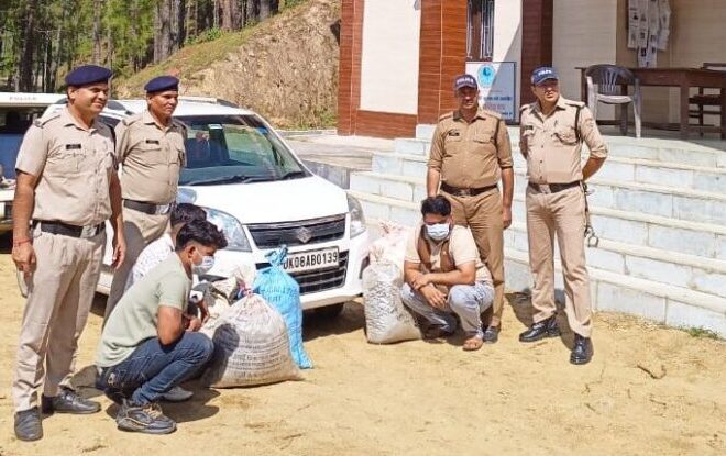 60 किलो गांजा सहित तीन गिरफ्तार