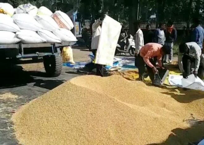 उत्तराखंड में इस साल 4.25 लाख टन धान खरीद का लक्ष्य 48 से 72 घंटे में होगा किसानों का भुगतान
