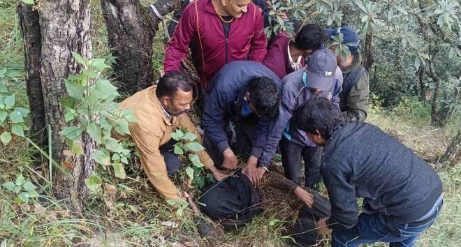  ं भालू के हमले से घायल महिला जंगल में मिली