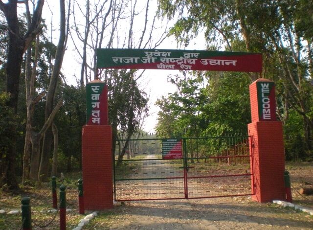 कार्बेट पार्क में रात्रि विश्राम शनिवार से शुरू