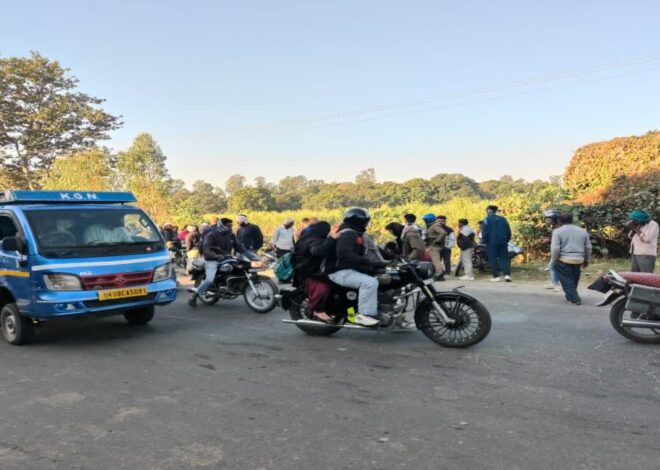 सड़क दुर्घटना में दो सगे भाईयों की मौत