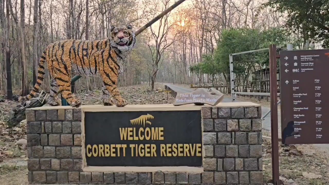 कॉर्बेट और राजाजी में एलिफेंट सफारी को मंजूरी