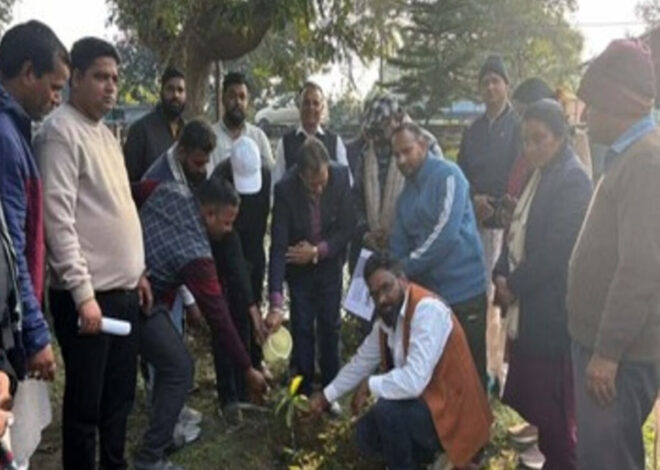 भाजपा  कार्यकर्ताओं ने दिया पौधरोपण कर पर्यावरण संरक्षण का संदेश