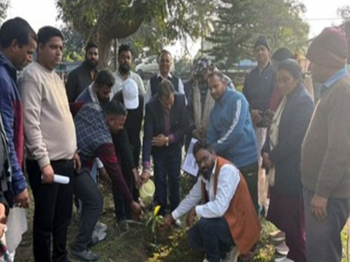 भाजपा  कार्यकर्ताओं ने दिया पौधरोपण कर पर्यावरण संरक्षण का संदेश