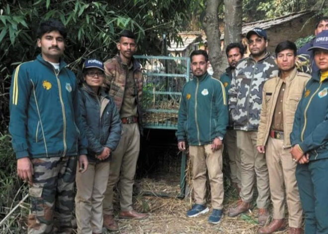 वन विभाग ने सीमलखेत में लगाया पिंजरा  