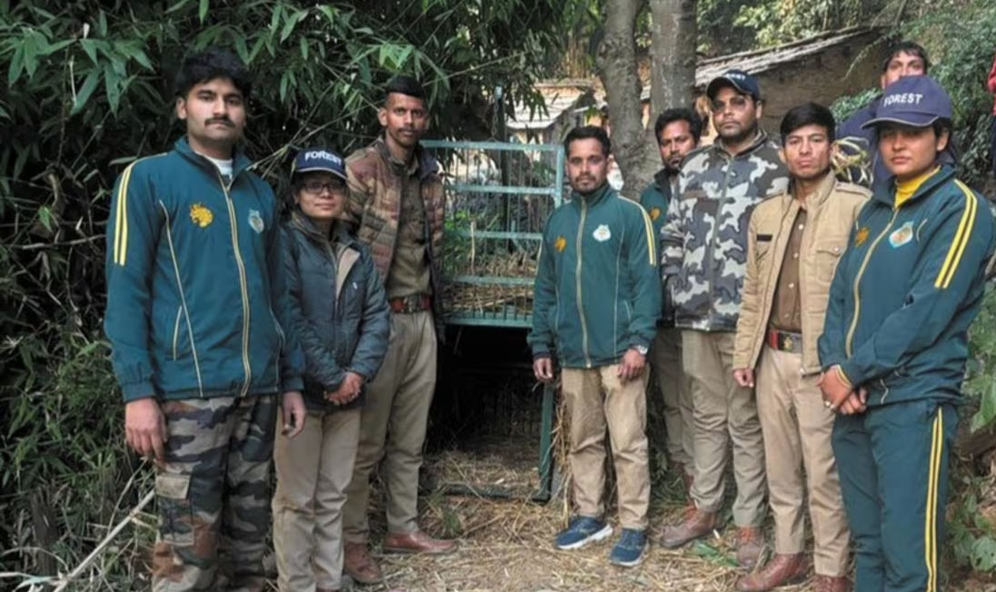 वन विभाग ने सीमलखेत में लगाया पिंजरा  