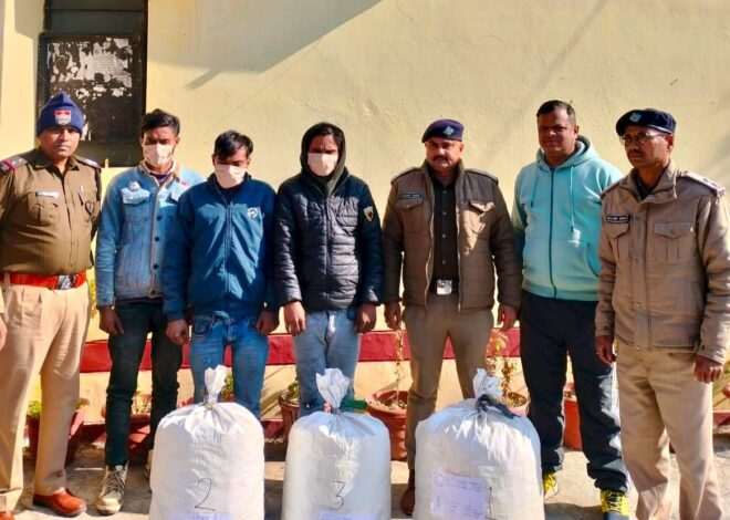कार से तस्करी किया जा रहा 13 लाख का गांजा बरामद तीन गिरफ्तार