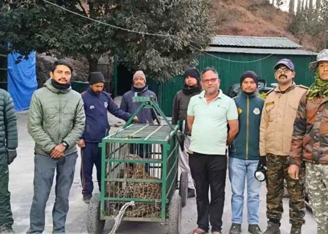 रानीधारा में दहशत का पर्याय बना गुलदार पिंजरे में कैद