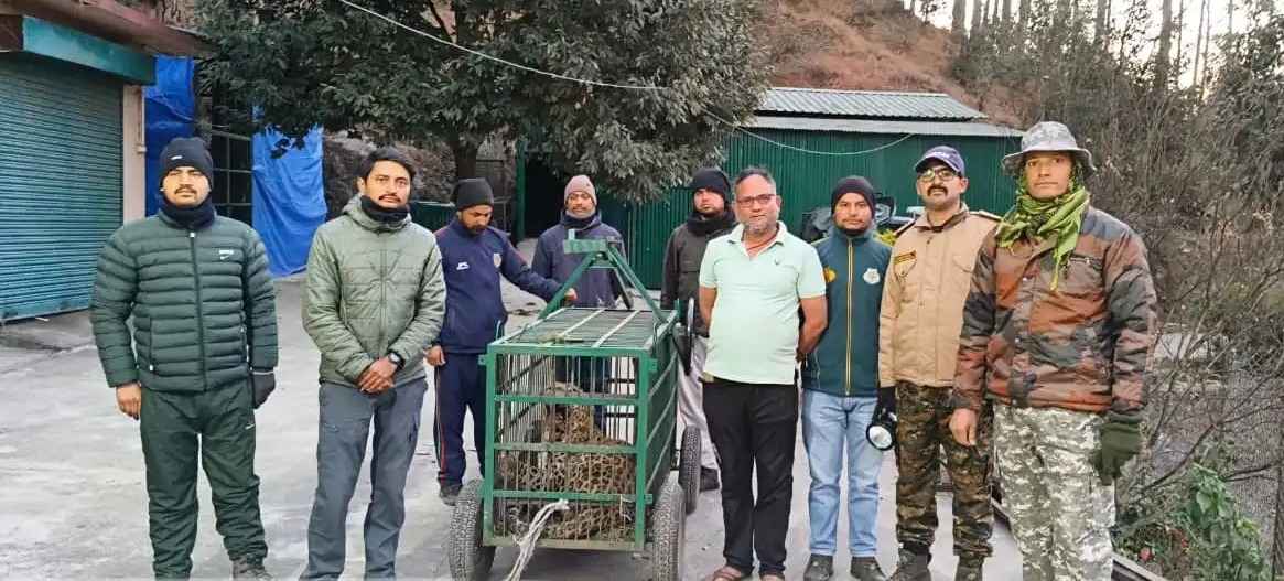 रानीधारा में दहशत का पर्याय बना गुलदार पिंजरे में कैद