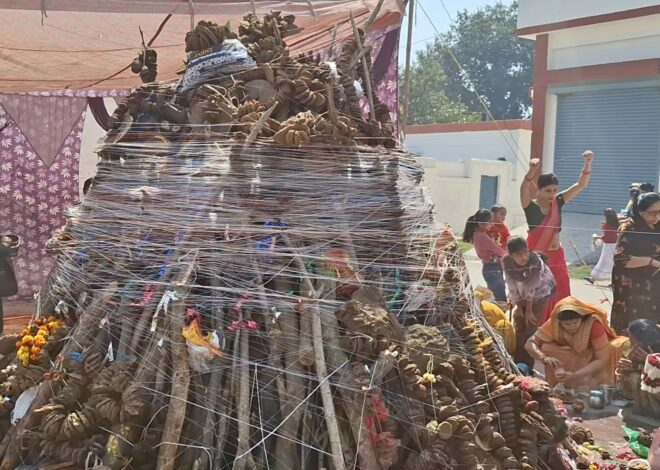 महिलाओं ने हालिका दहन से पहले किया पूजन