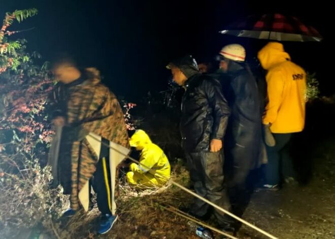 देर रात खाई में गिरी कार