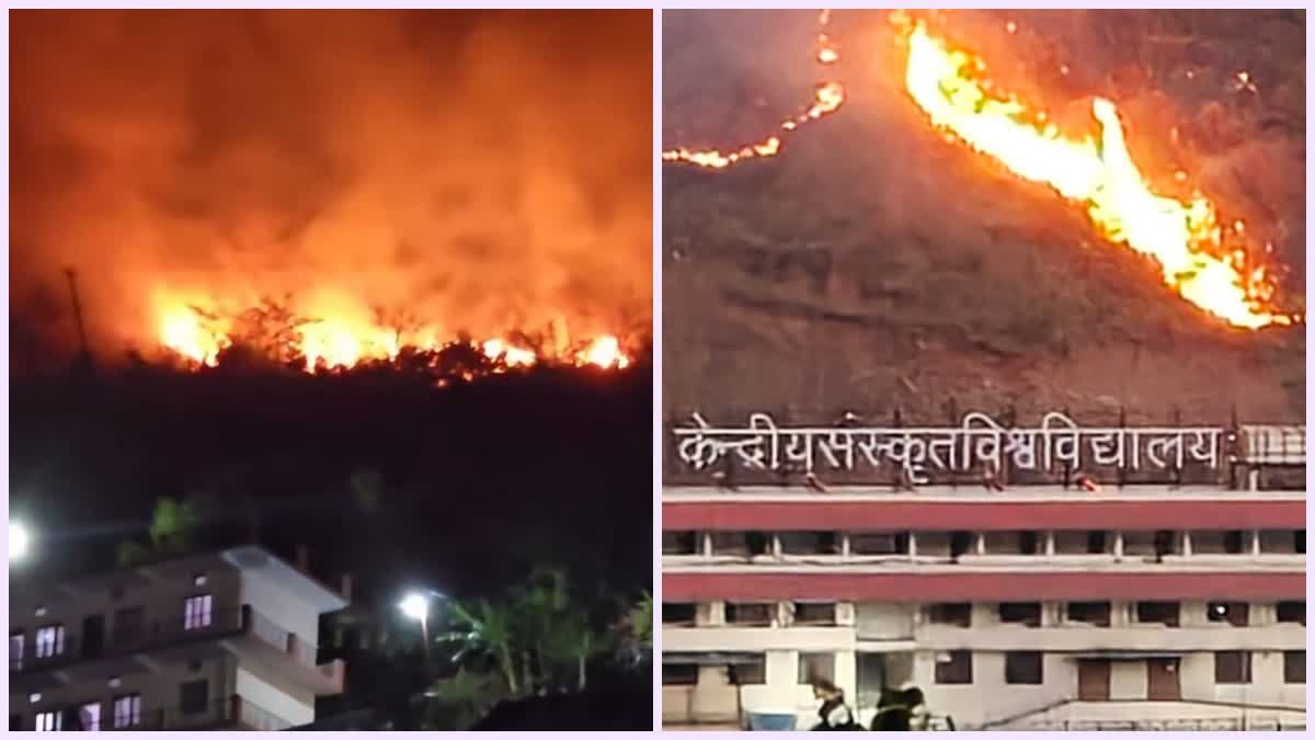 पौड़ी में केंद्रीय संस्कृत विश्वविद्यालय परिसर तक पहुंची जंगल की आग
