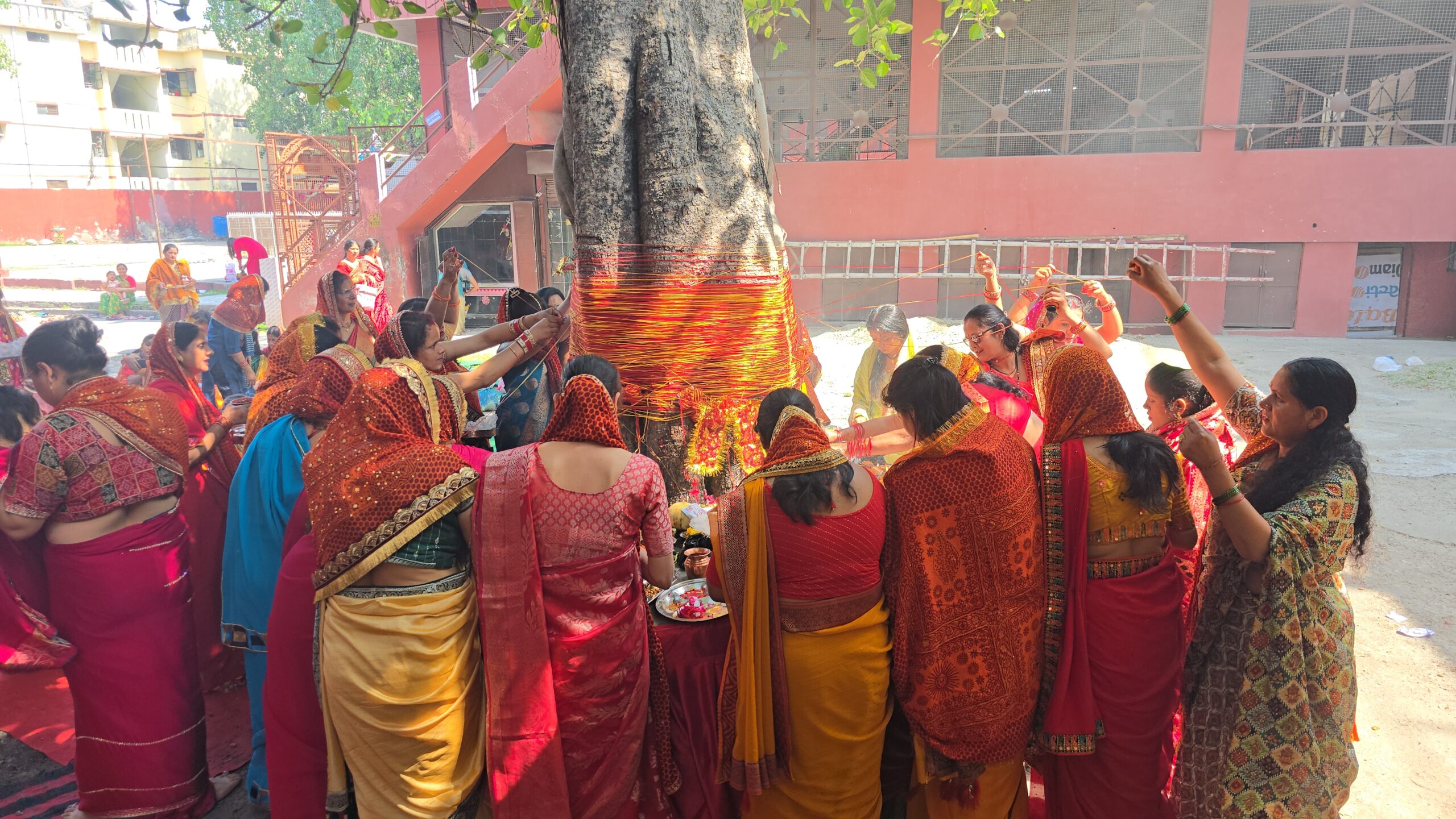 अमावस्या पर वट सावित्री व्रत मनाया