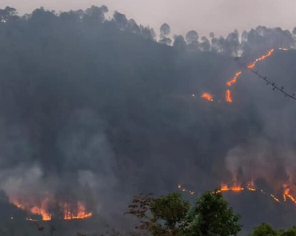 धधकते जंगलों की आग ने लिया विकराल रूप