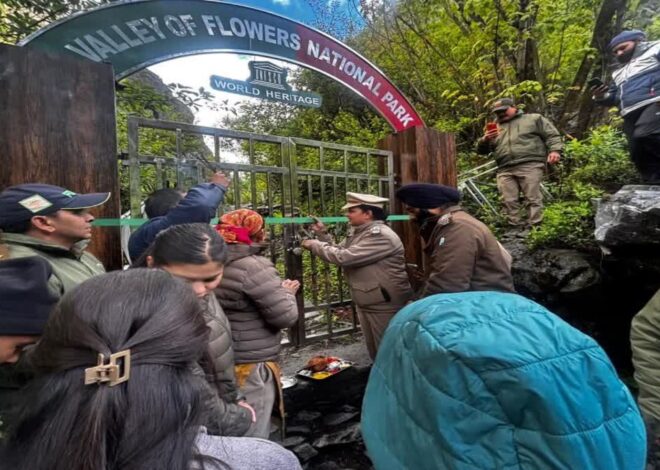 पर्यटकों के लिए खुल गए फूलों की घाटी के द्वार