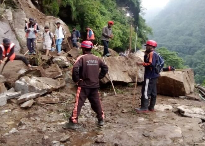 केदारनाथ धाम पैदल मार्ग पर पत्थर गिरने से घोड़ा और डंडी कंडी सर्विस पर रोक