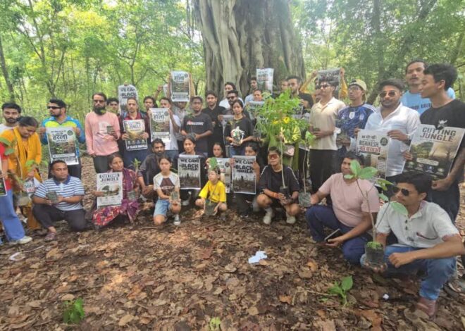 लोक पर्व हरेला को ब्लैक हरेला के रूप में मनाया
