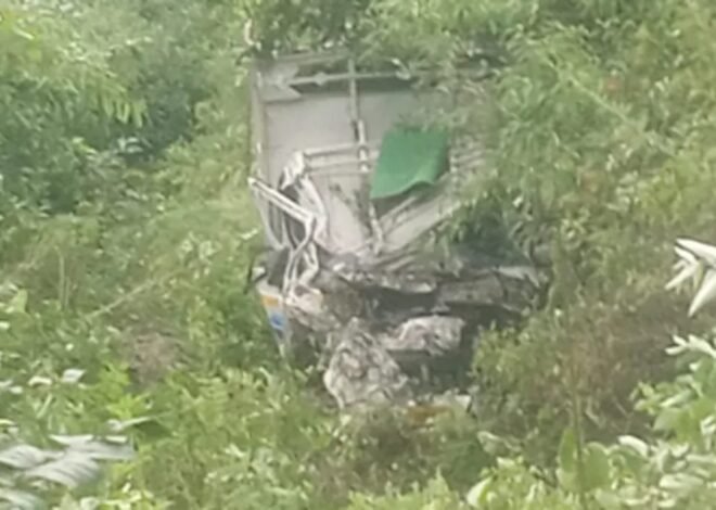अनियंत्रित होकर पिकअप खाई में गिरा