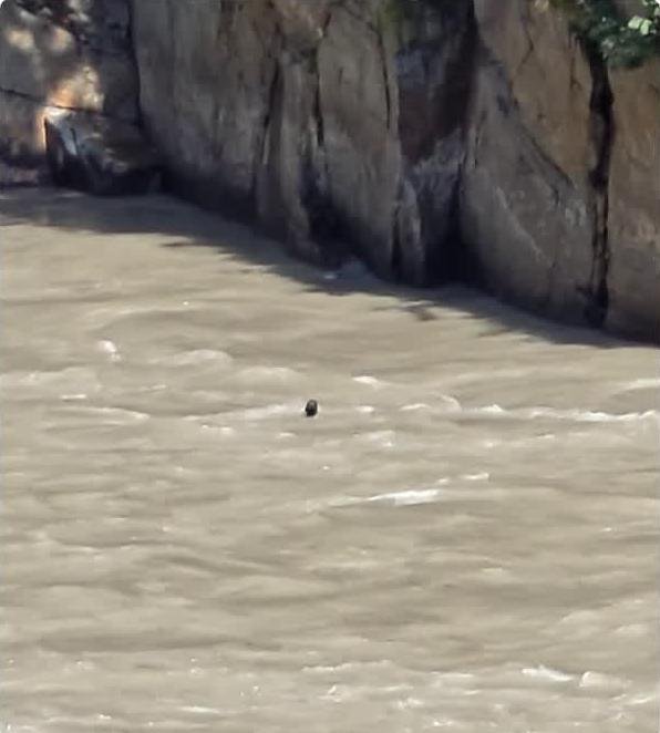 अलकनंदा में बहकर युवक लापता
